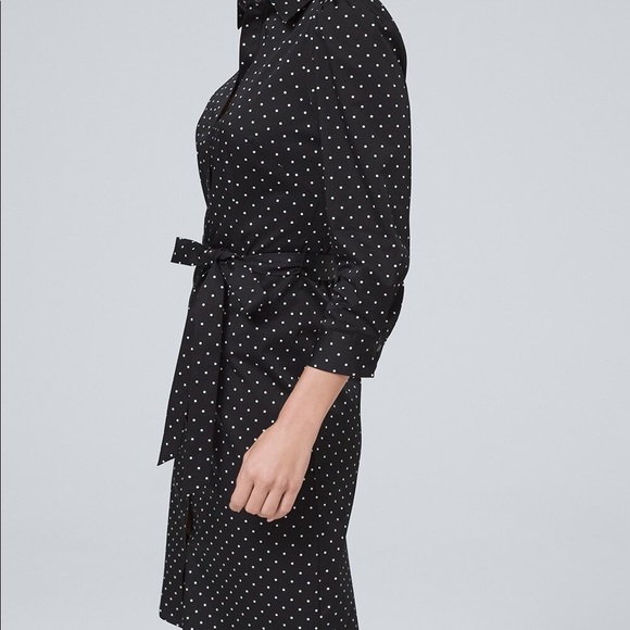 WHBM polka dot dotted shirt dress, 0 - Picture 3 of 16